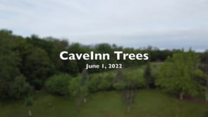 CaveInn Trees June 1, 2022.mp4