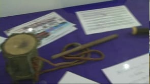 Exposicions del pubillatge