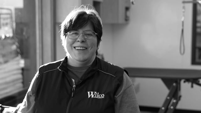 Become a Pet Groomer at Wilco