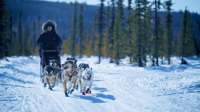 State of Alaska Department of Air Quality: “Day with the Dogs” — video thumbnail