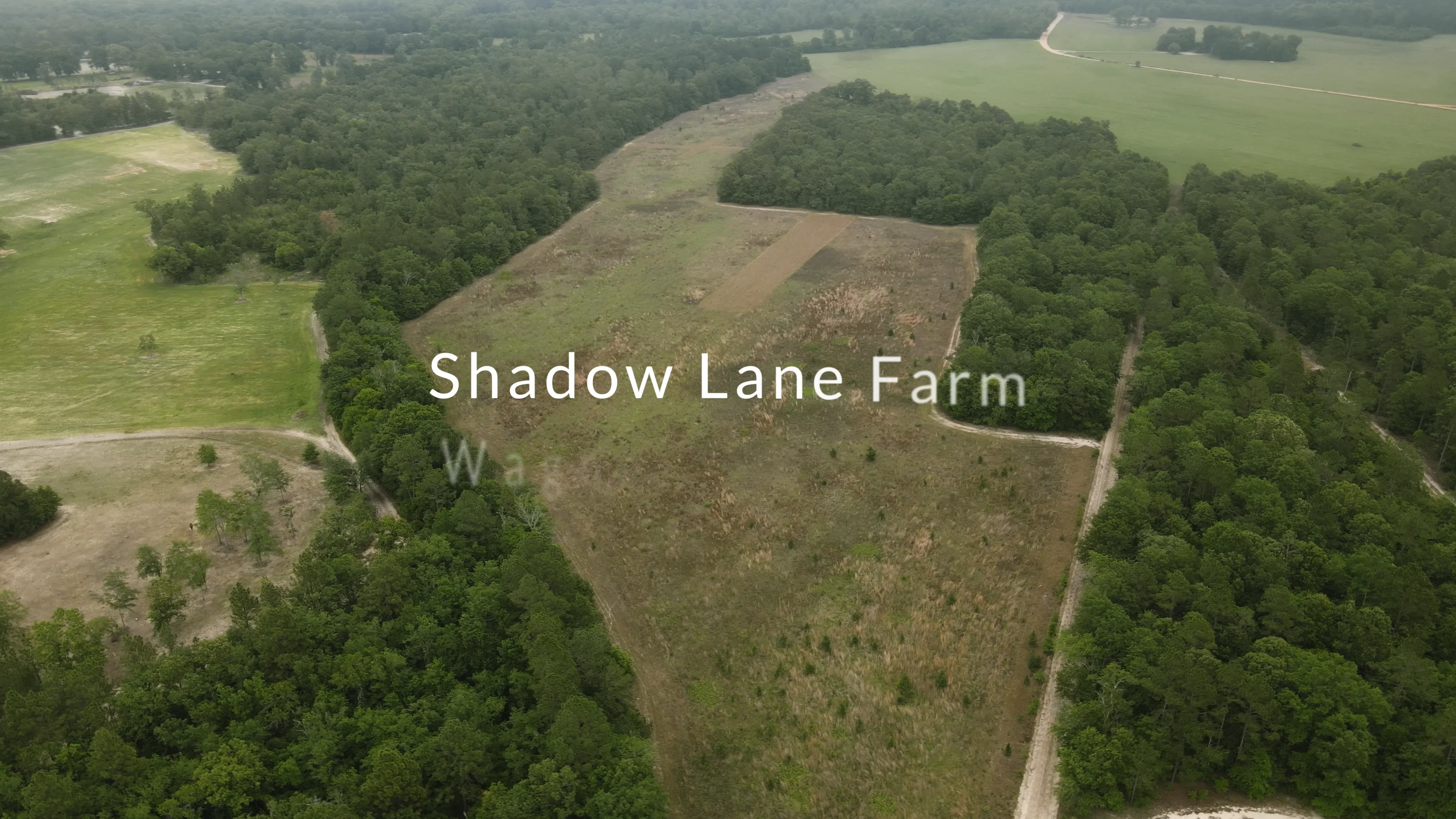 Shadow Lane Farms