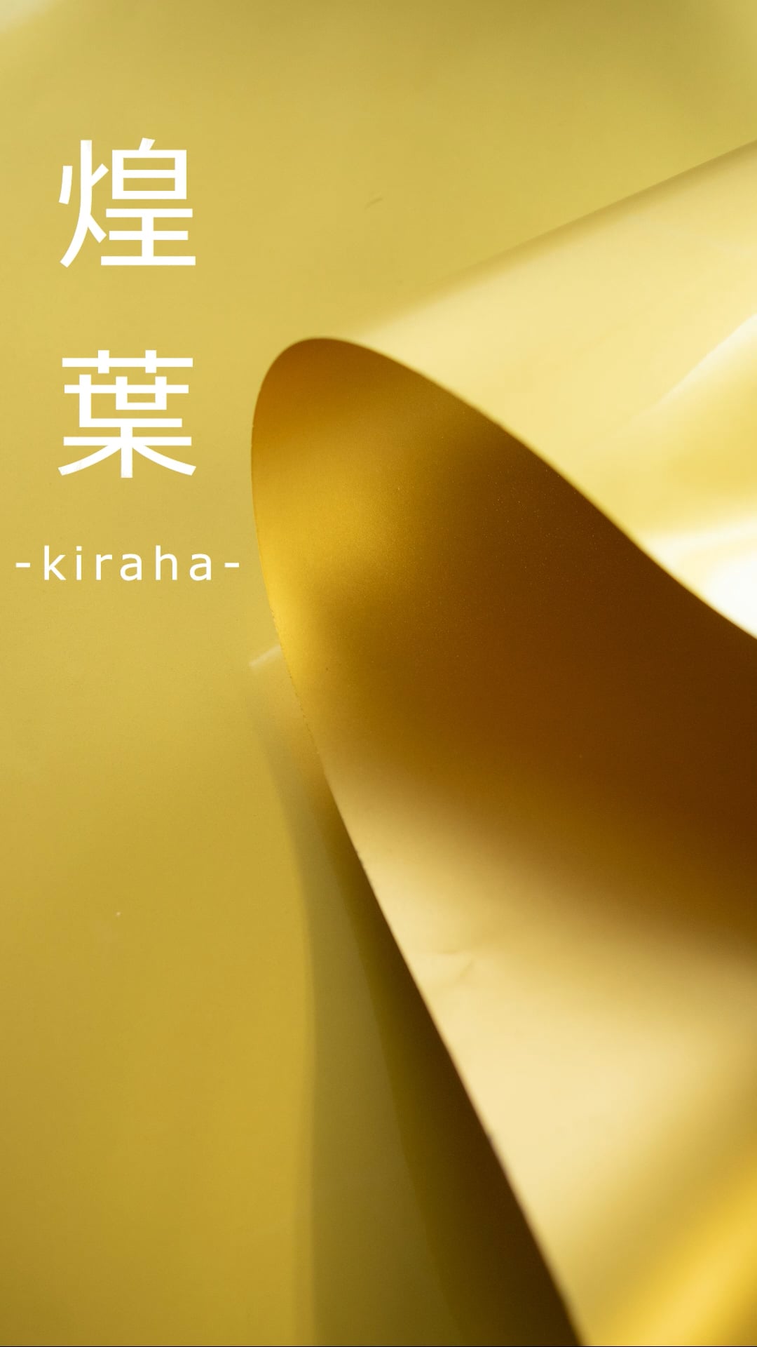 How to 煌葉(kiraha).mp4