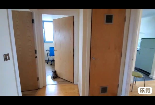 Video 1: