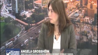 Entrevista a Angela Grossheim en Willax TV