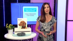 Summer Pet Parent Picks