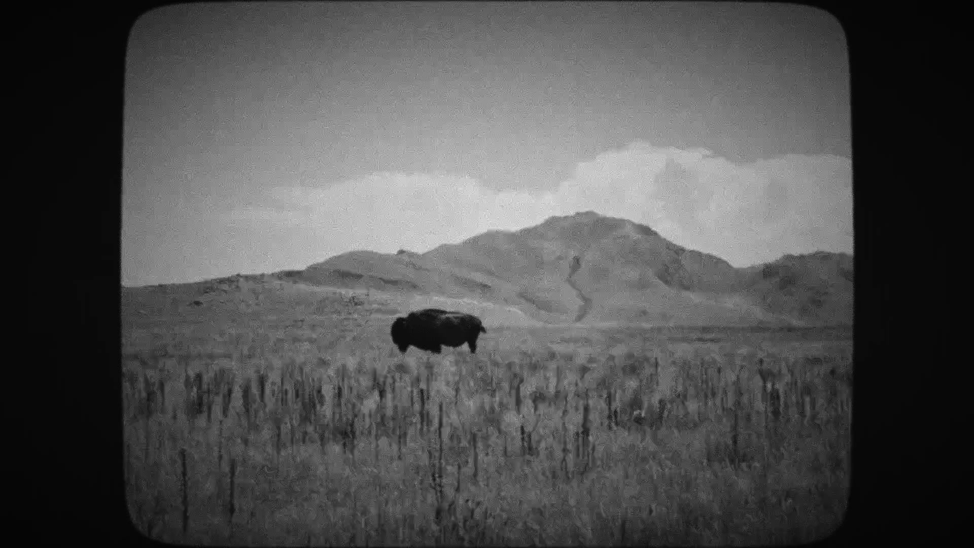 Ford Motel - Scott Free Sessions        Blue Cafe Music and Video