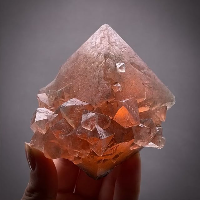 Scheelite (fluorescent) - CCHB-22 - Yaogangxian Mine - China