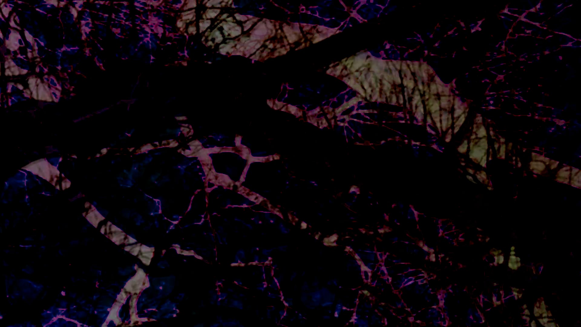 Complexity /συμπλέγματα