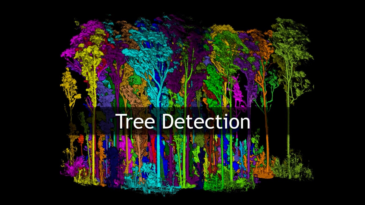 Digital Systems in Forestry - Years 9-10