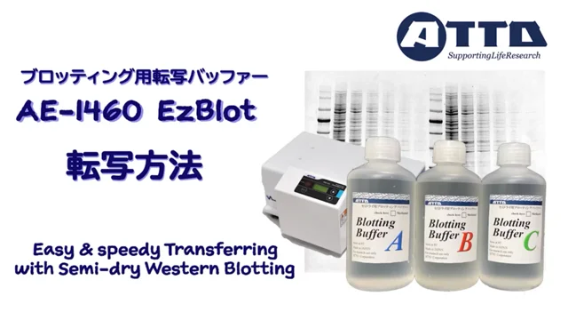 AE-1460_EzBlot_使用方法_JPN