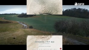 Et le ciel s'assombrit (Skyggen i mit øje)