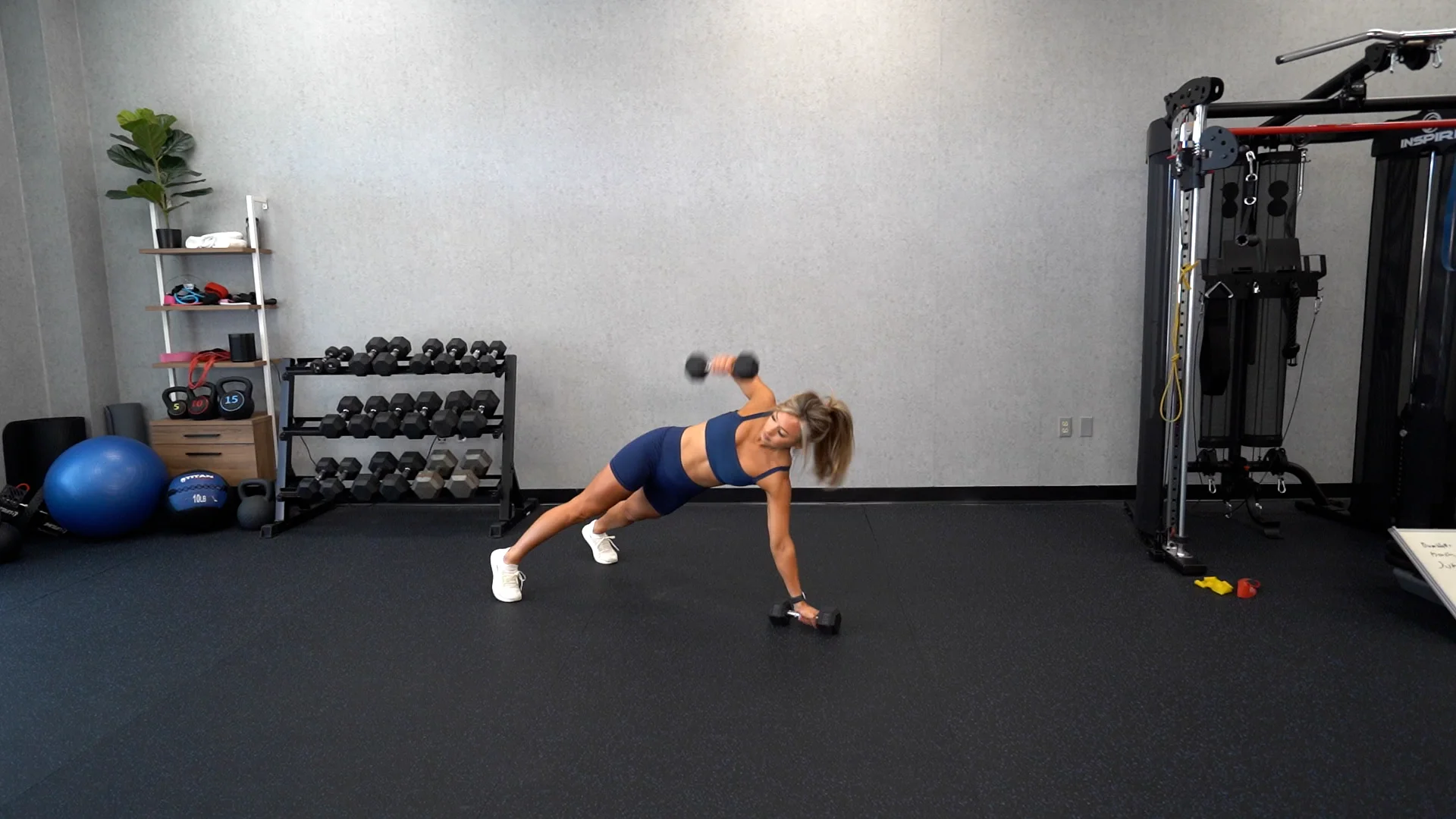 Dumbbell plank rotation 2025
