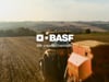 BASF VO