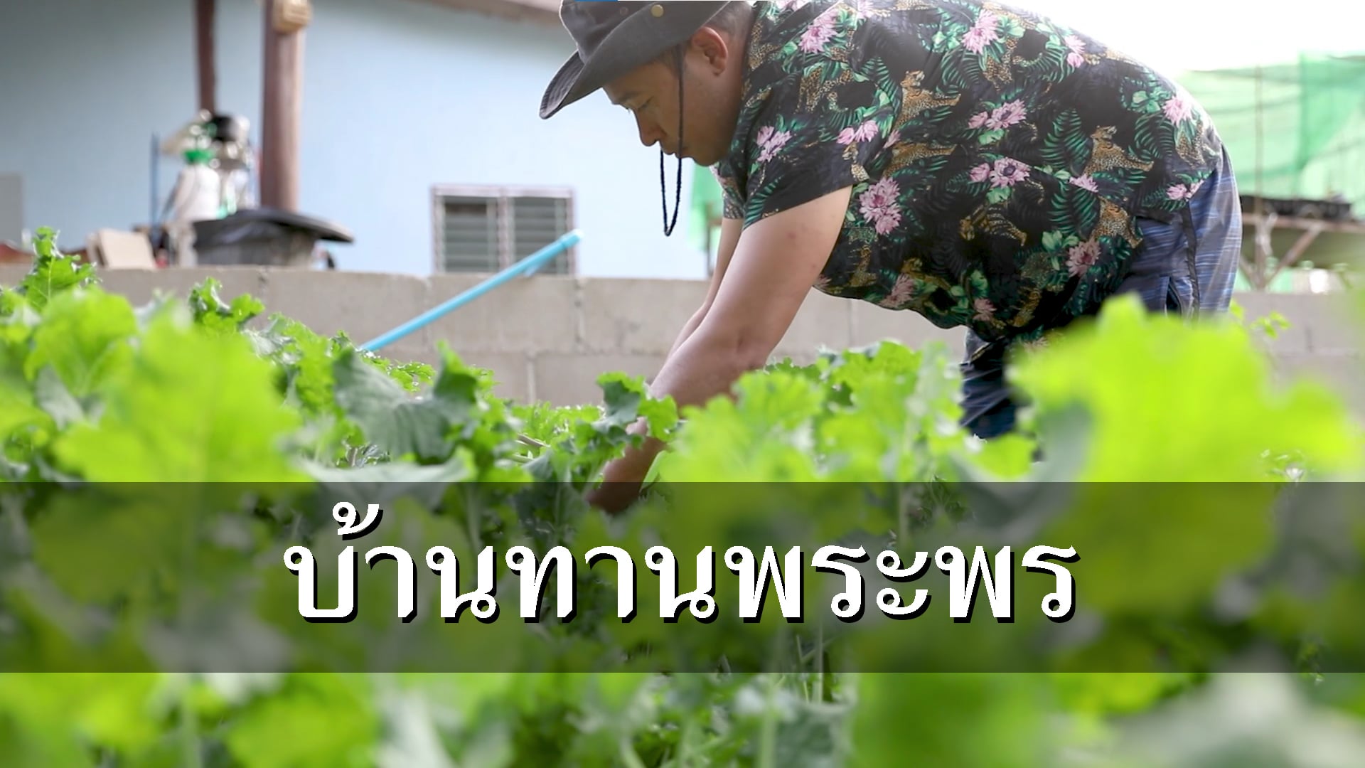 Baan Tan Prapon Promo