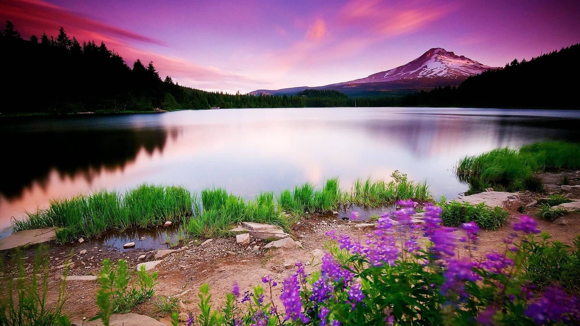 Nature 42 on Vimeo