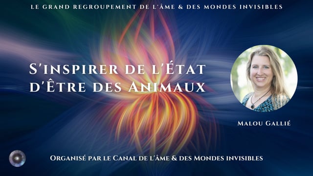 Phase 2 : Reconnectez au Coeur de votre Être