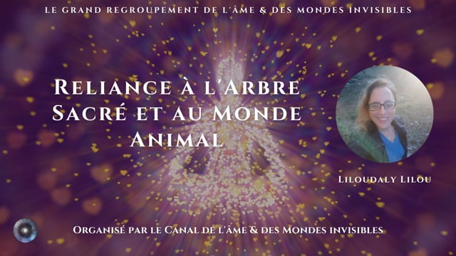 Phase 3 : Déployez votre Potentiel de Lumière