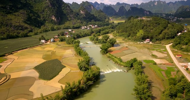 Video thiên nhiên Việt Nam: Đắm mình trong những cảnh quan thiên nhiên đẹp như mơ của Việt Nam - từ những bãi biển tuyệt đẹp, đến những dãy núi hùng vĩ và những dòng sông uốn lượn - qua những bức ảnh và video thiên nhiên tuyệt vời.