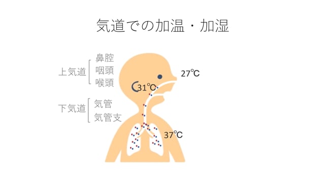 新生児の人工呼吸器管理中における  加温加湿～HFOモードの場合～
