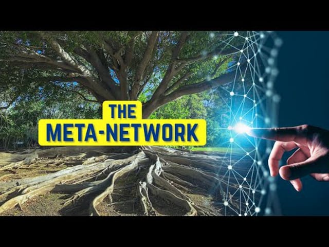 The Meta-Network of Nature