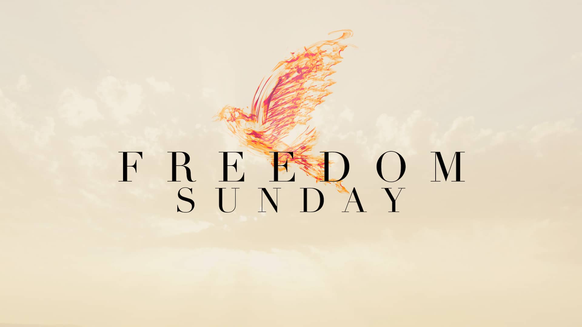 Freedom Sunday on Vimeo