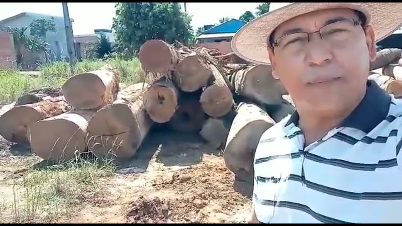 Madeiras ganhadas.