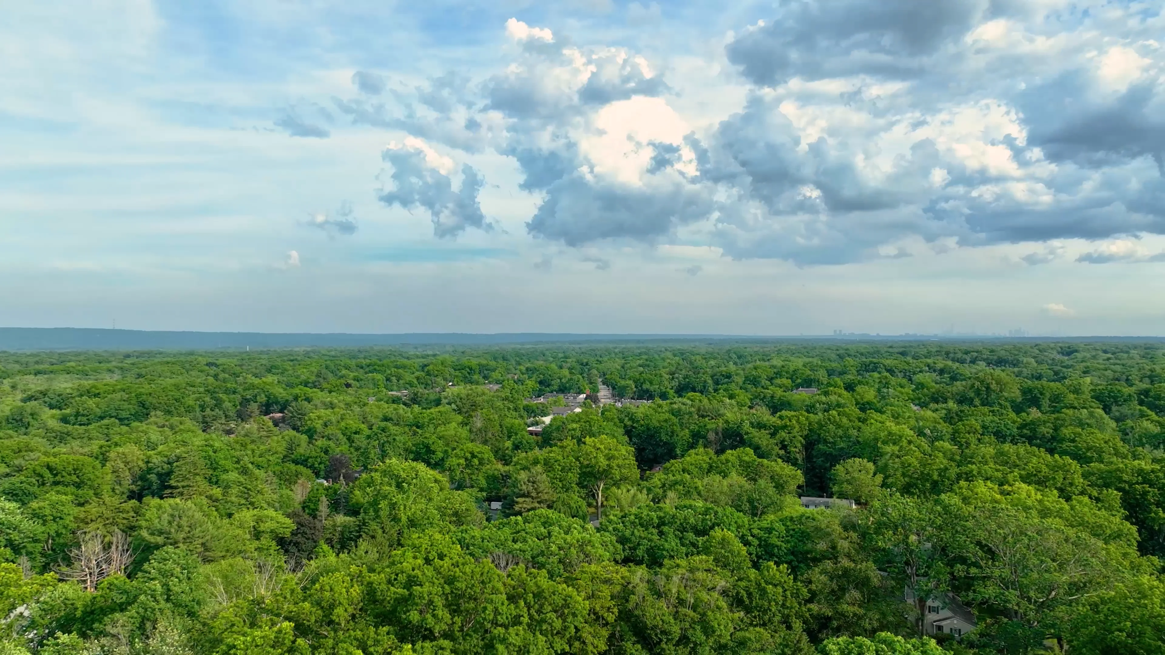 619 Cleveland Ave, River Vale NJ 07675 Deb Felder on Vimeo