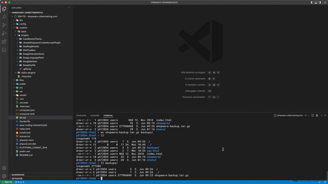 Backup per SSH wiederherstellen