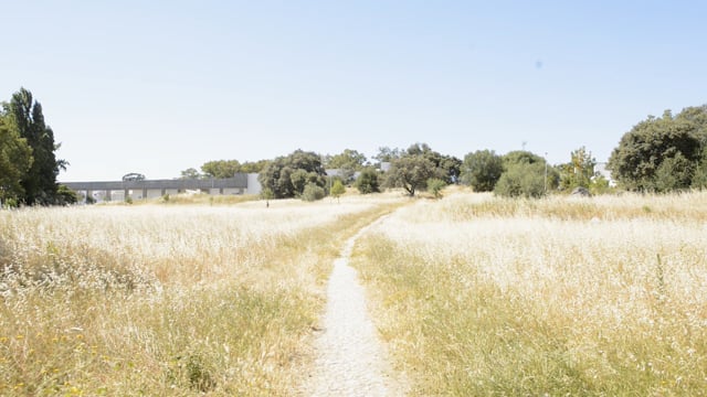 220526-OA-Alvaro Siza-Quinta de Malagueira