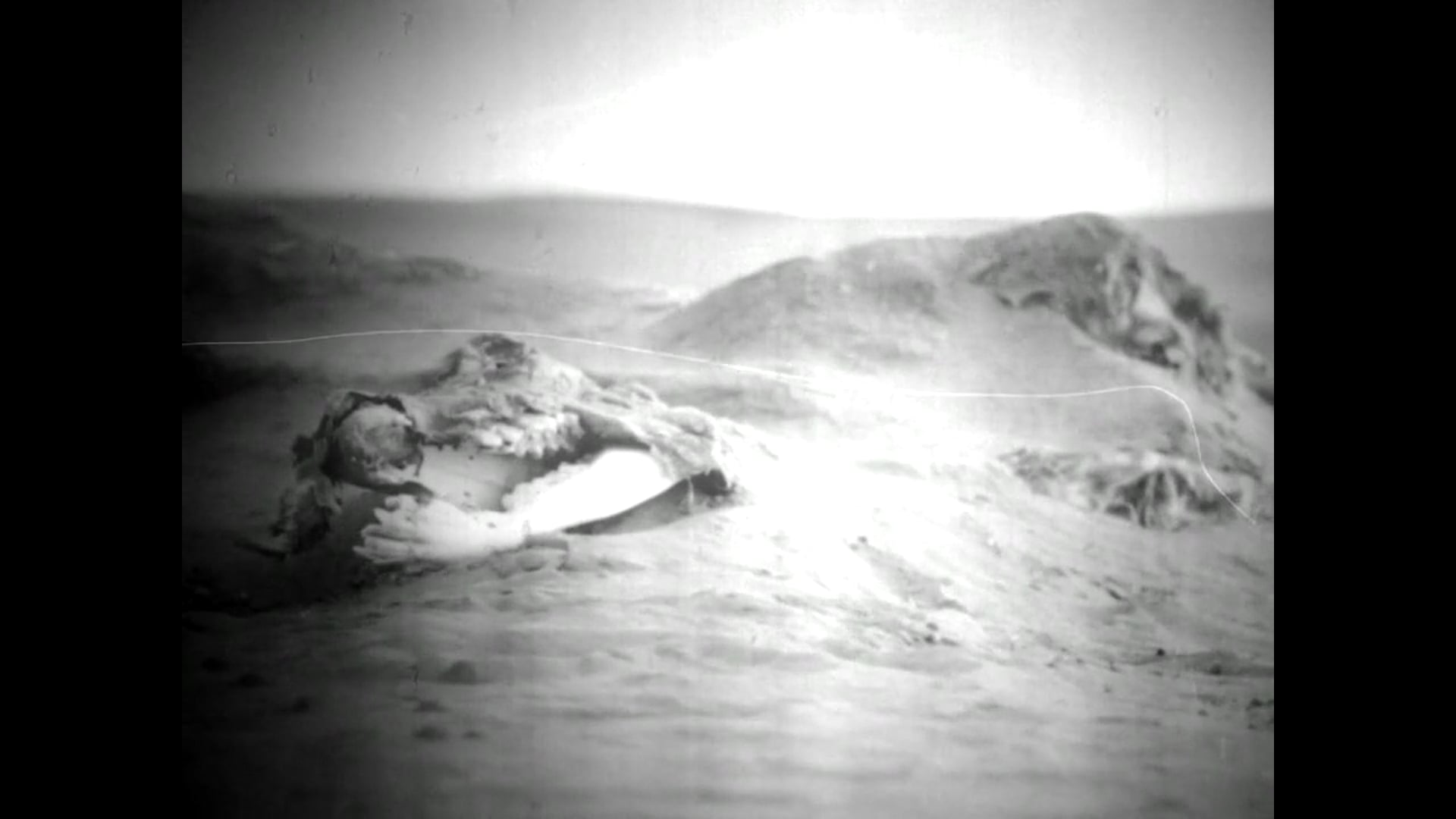 GRABADOS DEL OJO NOCTURNO de  Jean-Jacques Martinod