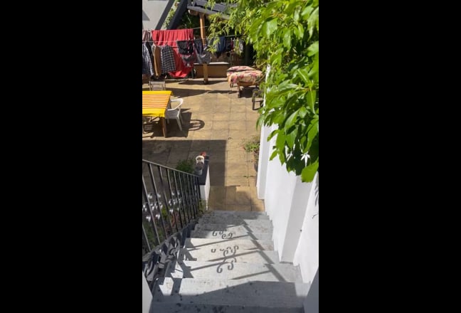 Video 1: 