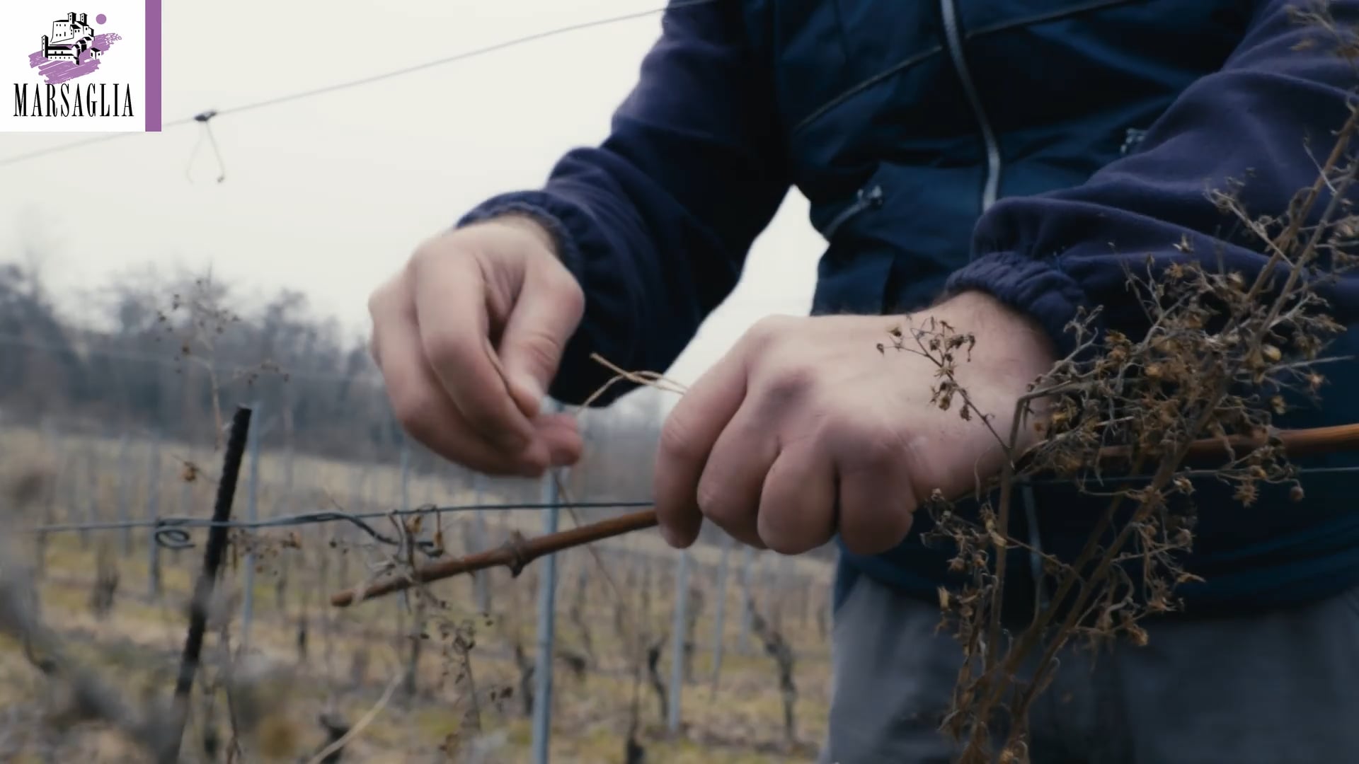 La Legatura | The binding