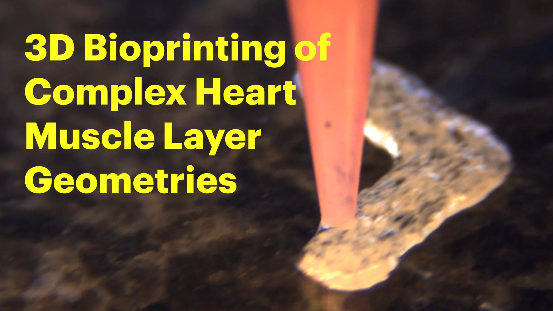 3D Bioprinting of complex heart muscle layer geometries.mp4