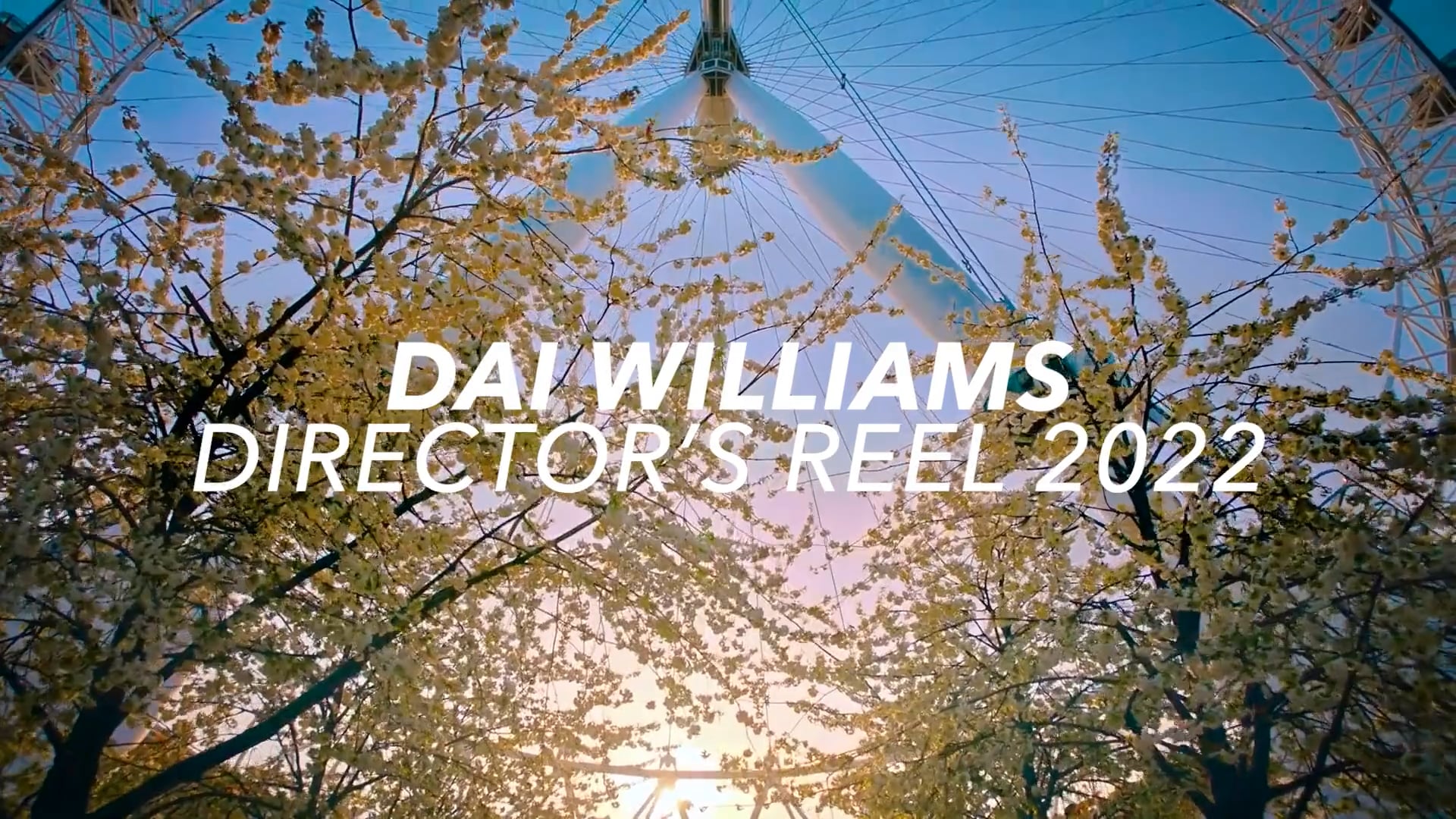 DAI WILLIAMS DIRECTOR'S REEL 2022