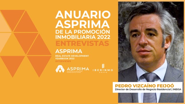 PEDRO VIZCAÍNO FEIJÓO - INBISA