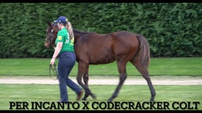 Codecracker - Per Incanto