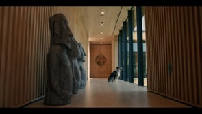 Related Embedded Video Item Thumbnail