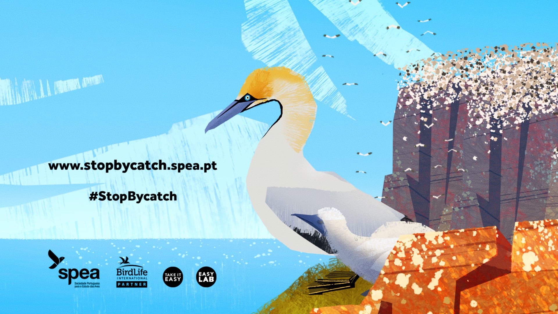 SPEA Bycatch