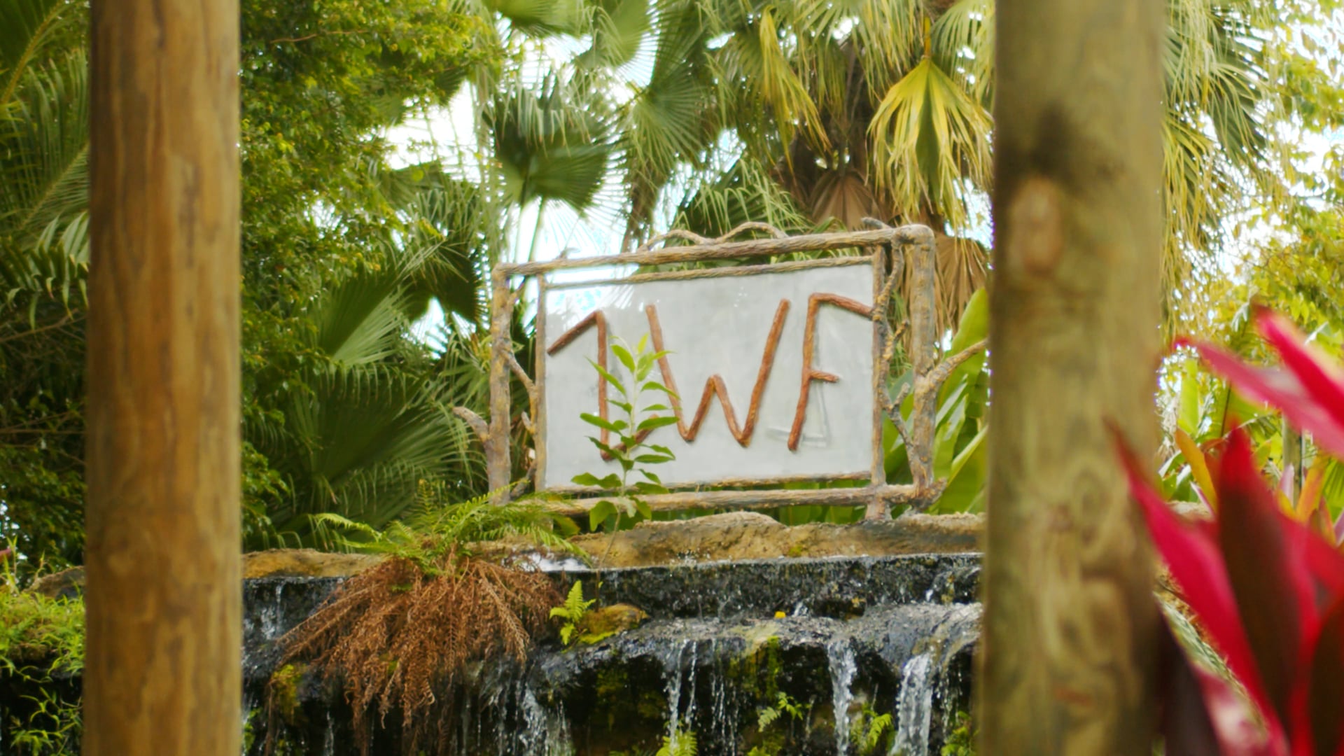 ZWF