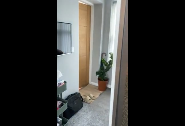 Video 1: