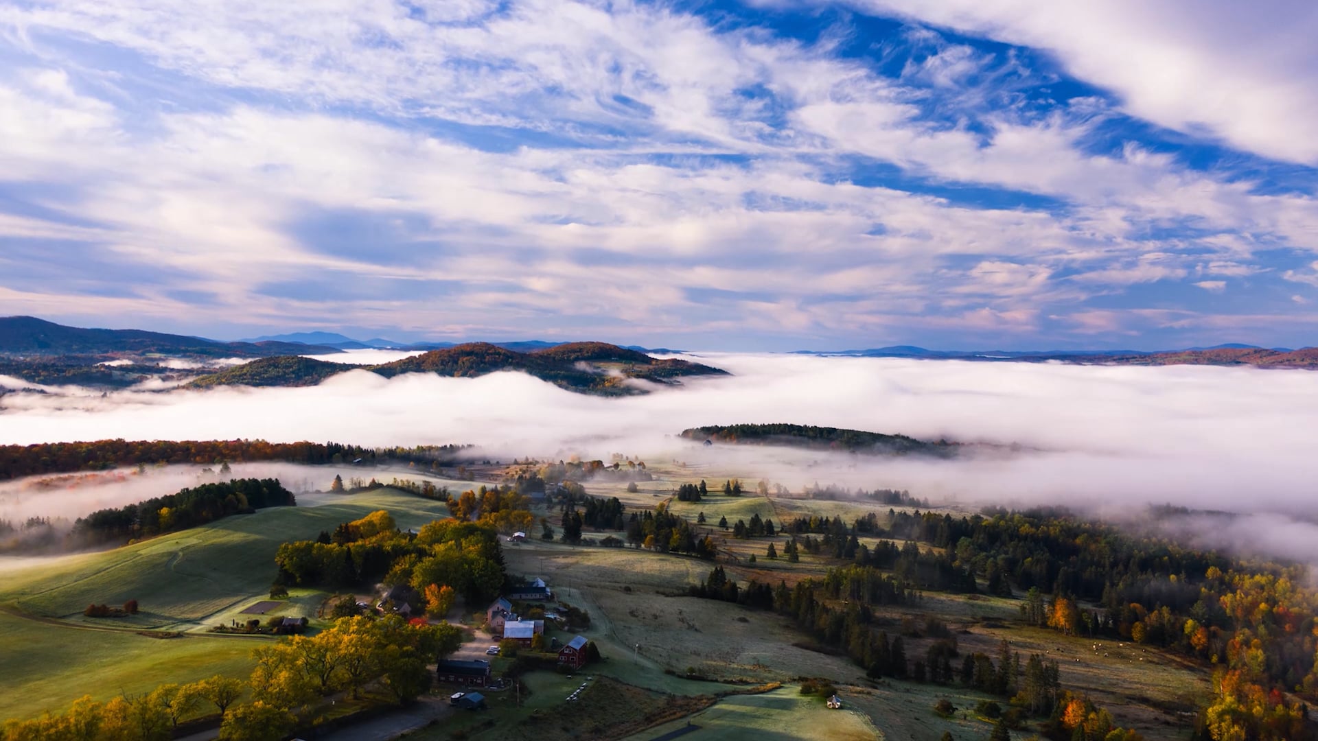 RWG #2: Ella McAndrew