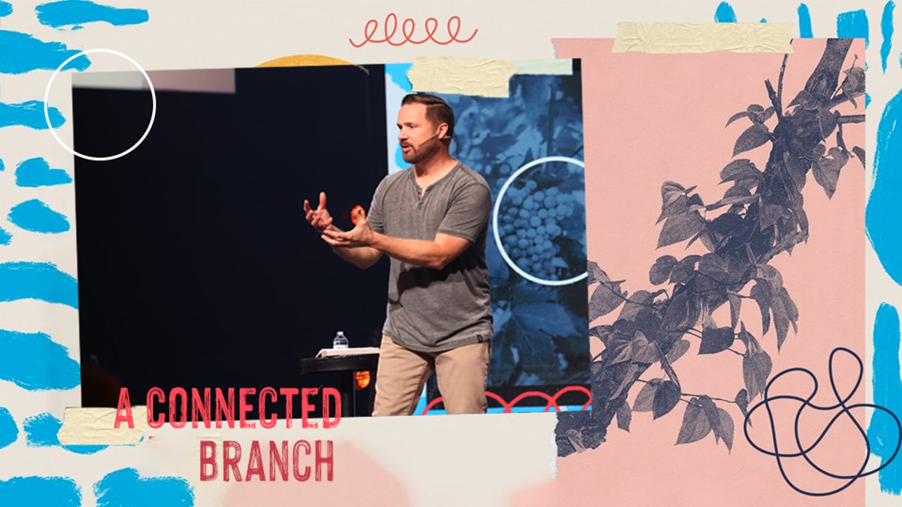The Healthy Branch | A Connected Branch