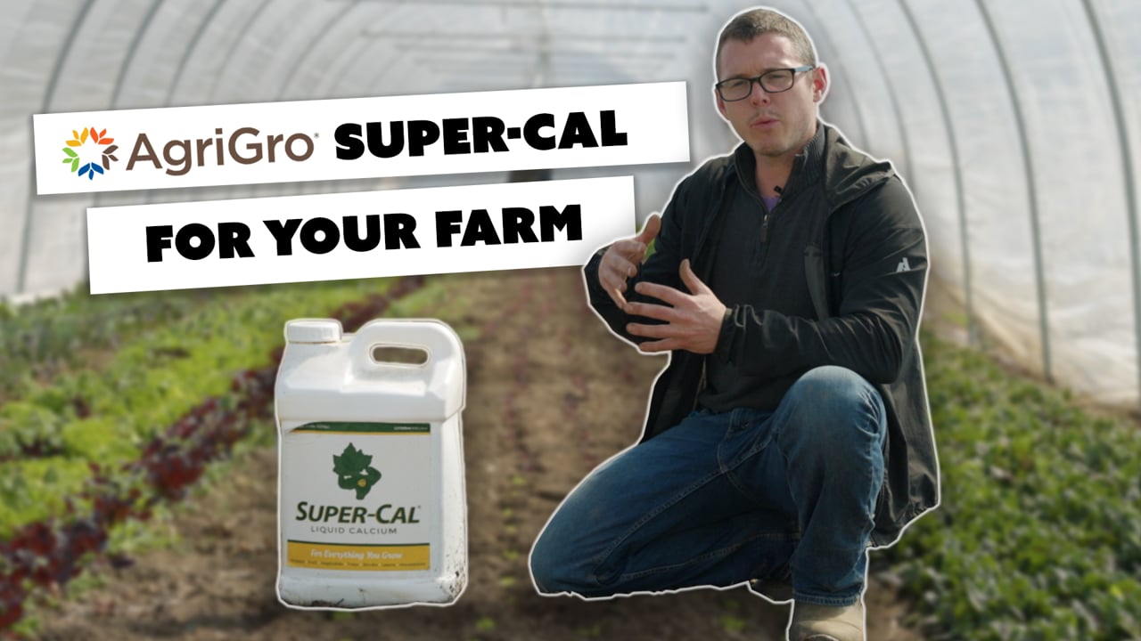Using Super-Cal on Your Farm w/ Michael Kilpatrick of 'Growing Farmers'