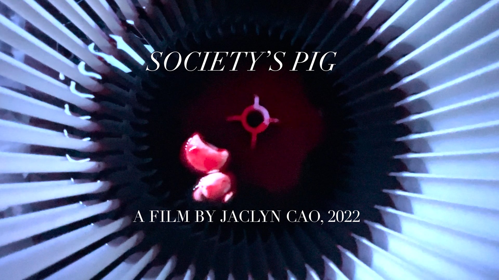 Society's Pig