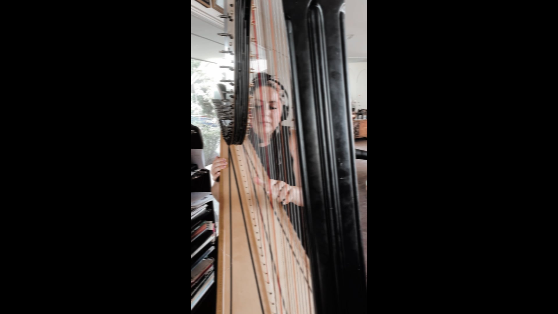 Promotional video thumbnail 2 for The Barefoot Harpist