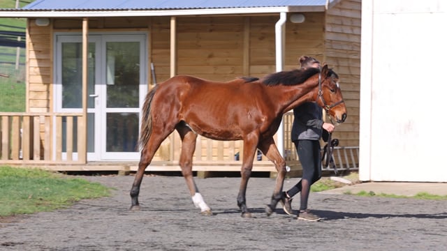 Lot 2