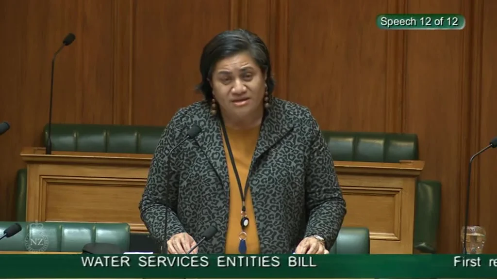 Water Services Entities Bill First Reading Video 13 on Vimeo