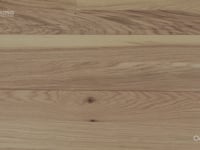 vimeo2
