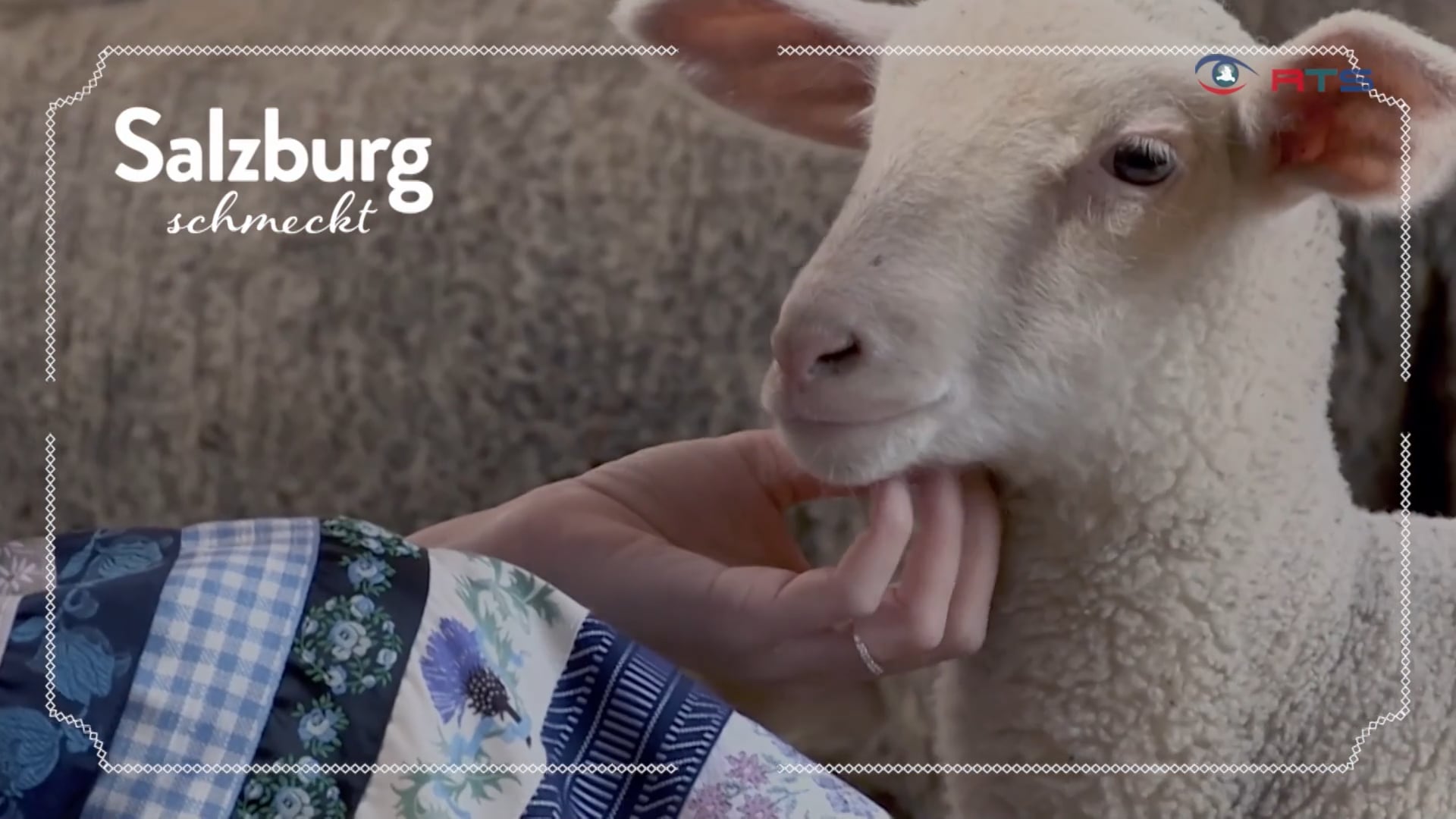 salzburg-schmeckt-thema-bio-austria