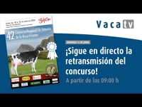 Sigue en directo el concurso este domingo desde las 9:00 h